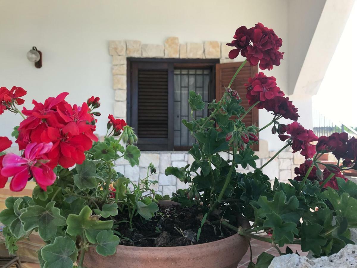 Casa Vacanze Rosa Brucoli Esterno foto